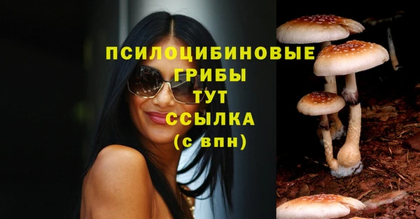 COCAINE Бородино